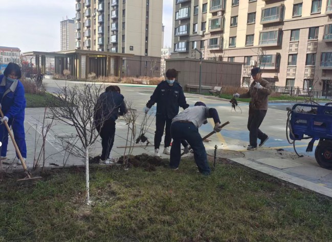 播種一片新綠  共建美麗家園