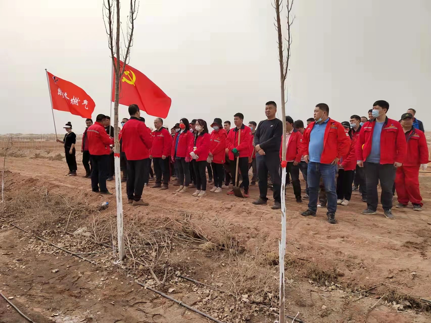 春季植樹(shù)造林  展曦隆之風(fēng)